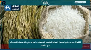 تقلبات جديدة في أسعار الأرز والشعير الأربعاء.. تعرف على الأسعار المحدثة لدى التجار